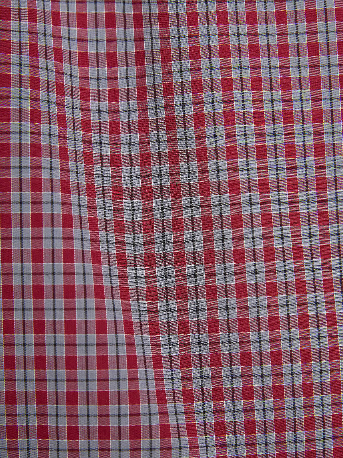 Шорты короткие из хлопка в клетку 0180, красный